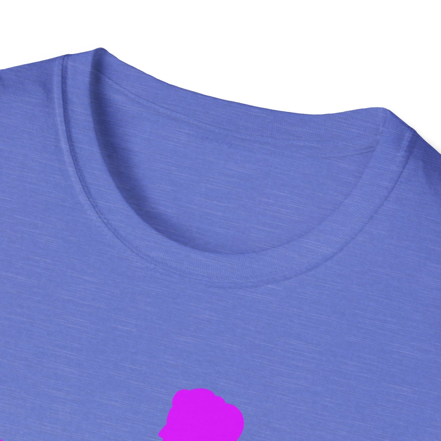 Womans Shirt Plead The 2nd | Colorful Shirt | Cool Shirt | Fashion | Trending | Cool Design | Birthday Gift | Unisex Softstyle T-Shirt