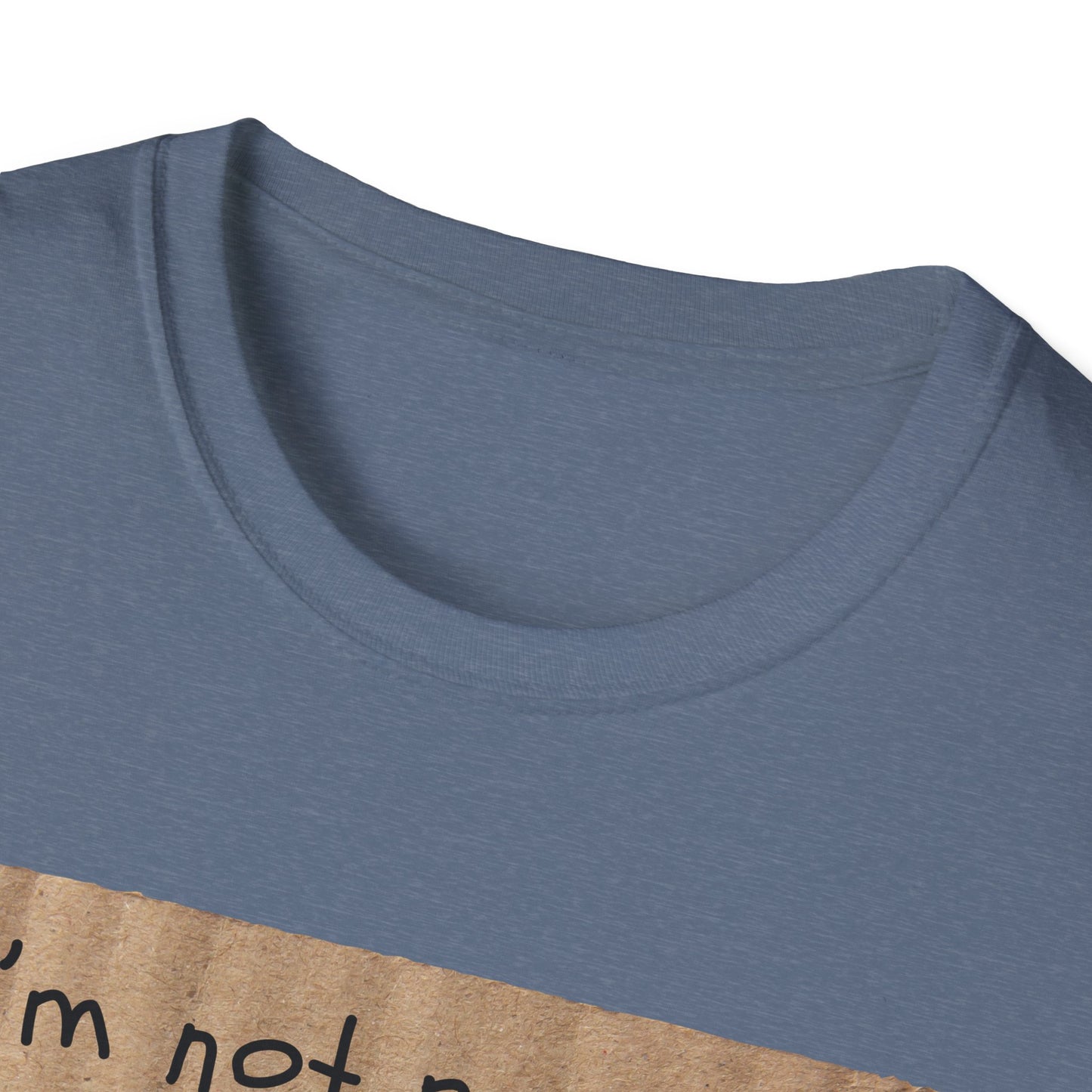 Pre-Rich | Funny Adult Shirt | Teen Clothes | Humor Shirt | Trending | Birthday Gift | Unisex Softstyle T-Shirt