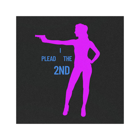 Plead the 2nd | Womans Car Magnet | Cool Design | Eye Grabber | Car Accessory | Truck Decal | Truck Sticker | Unique Car Decal