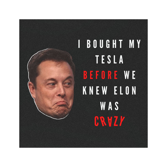 Crazy Elon | Tesla Cyber Truck Car Magnet | Eye Grabber | Car Accessory | Truck Decal | Truck Sticker | Unique Car Decal