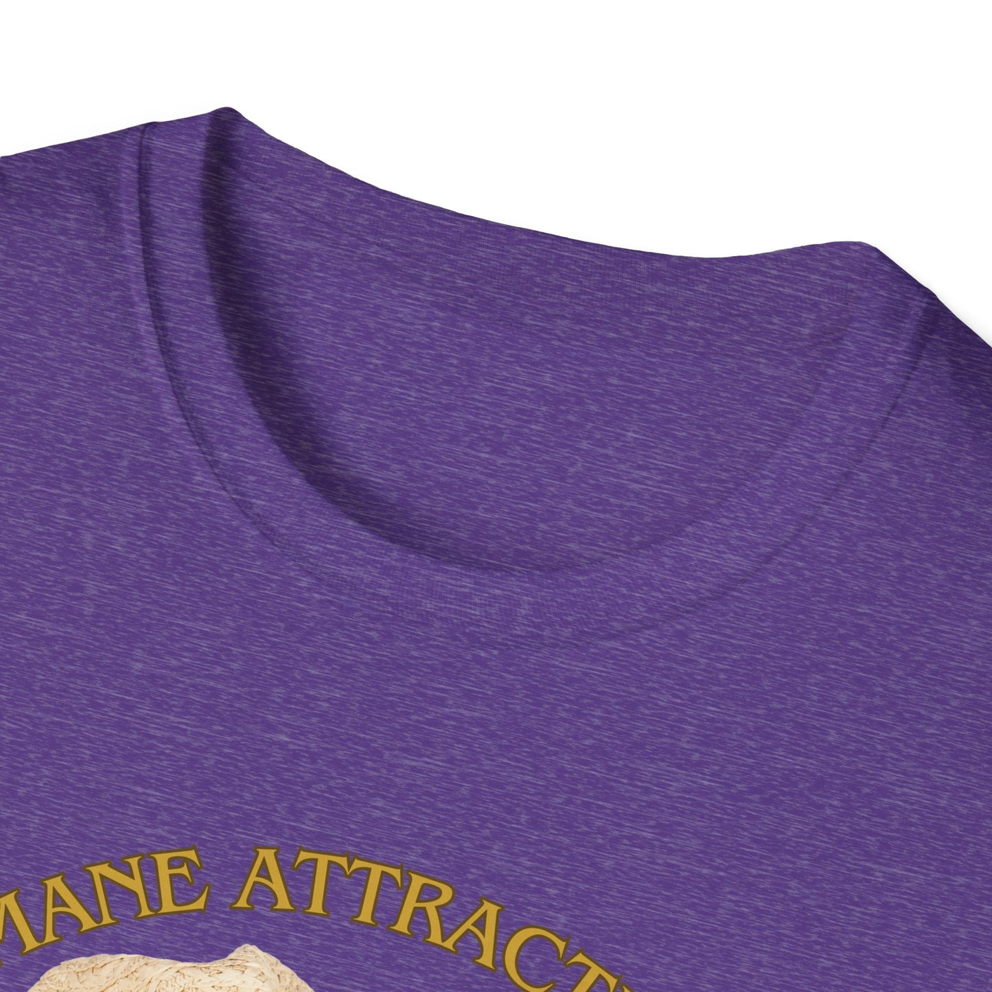 Mane Attraction | Funny Horse Shirt | Teen Clothes | Adult Shirt | Kids Clothes | Trending | Birthday Gift | Unisex Softstyle T-Shirt