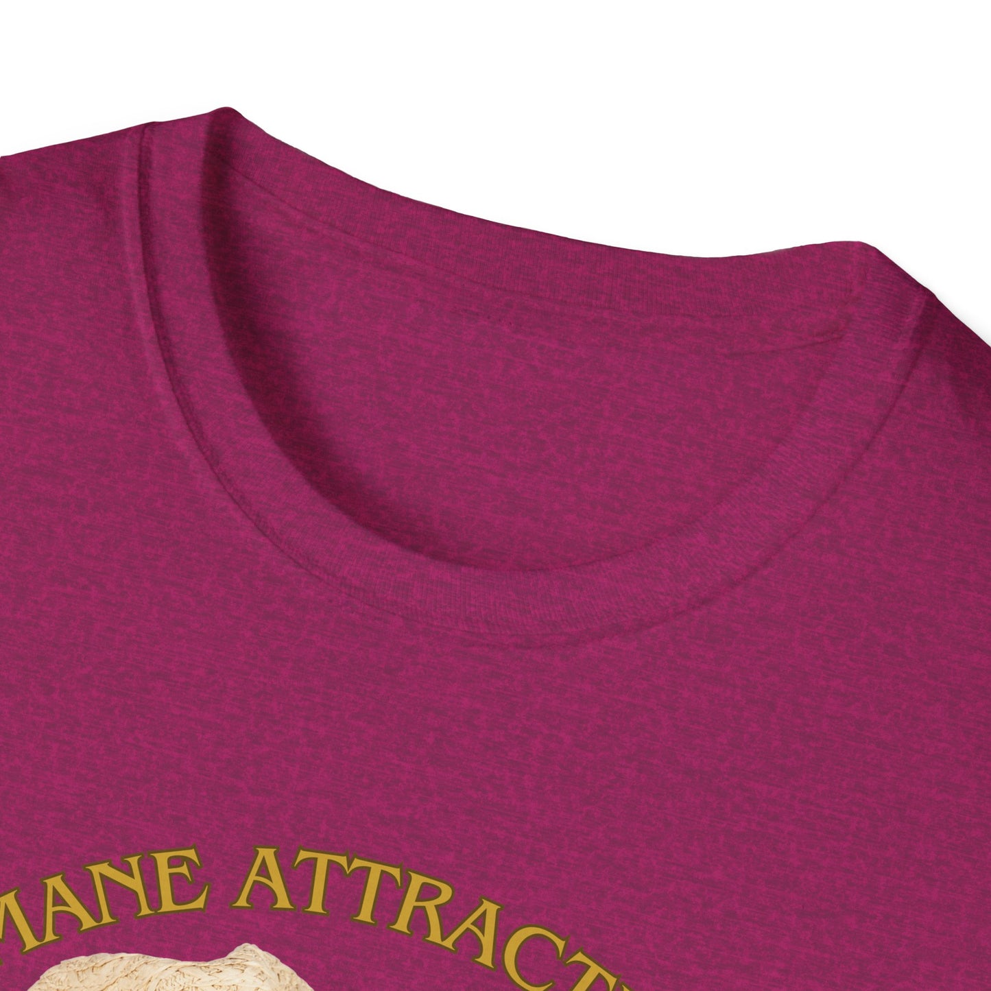 Mane Attraction | Funny Horse Shirt | Teen Clothes | Adult Shirt | Kids Clothes | Trending | Birthday Gift | Unisex Softstyle T-Shirt