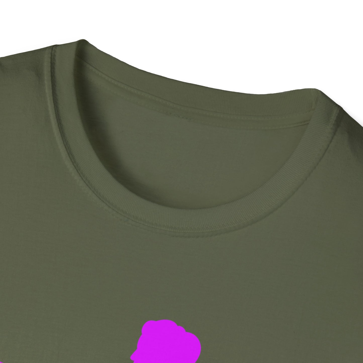 Womans Shirt Plead The 2nd | Colorful Shirt | Cool Shirt | Fashion | Trending | Cool Design | Birthday Gift | Unisex Softstyle T-Shirt