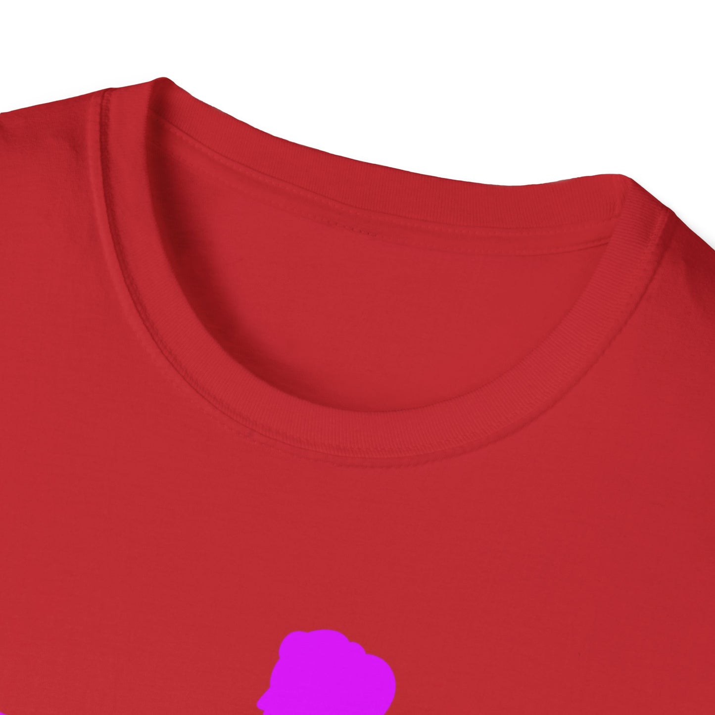 Womans Shirt Plead The 2nd | Colorful Shirt | Cool Shirt | Fashion | Trending | Cool Design | Birthday Gift | Unisex Softstyle T-Shirt