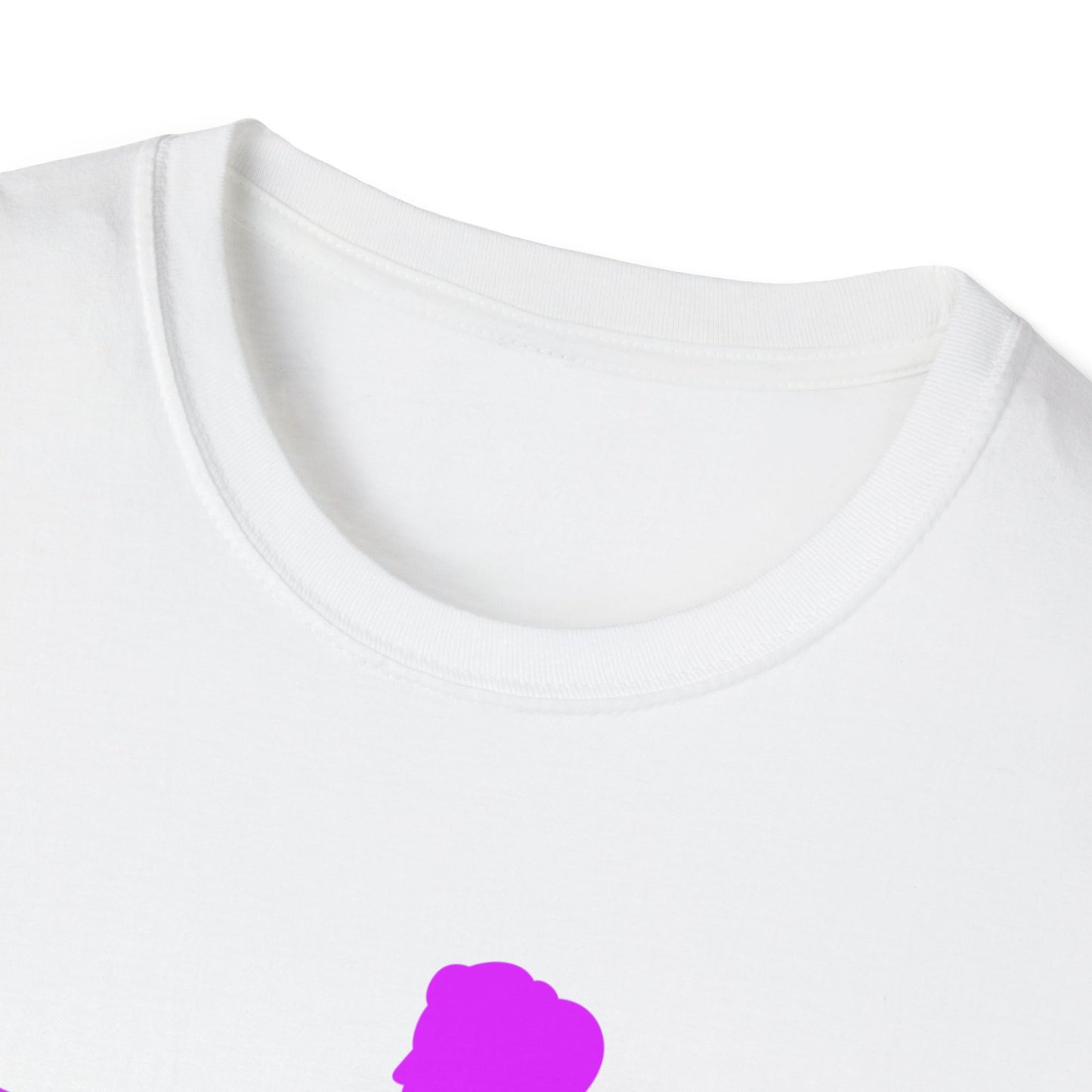 Womans Shirt Plead The 2nd | Colorful Shirt | Cool Shirt | Fashion | Trending | Cool Design | Birthday Gift | Unisex Softstyle T-Shirt