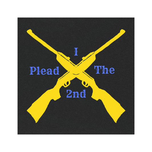 I Plead the 2nd | 2nd Amendment | Cool Design | Eye Grabber | Car Accessory | Truck Decal | Truck Sticker | Unique Car Decal