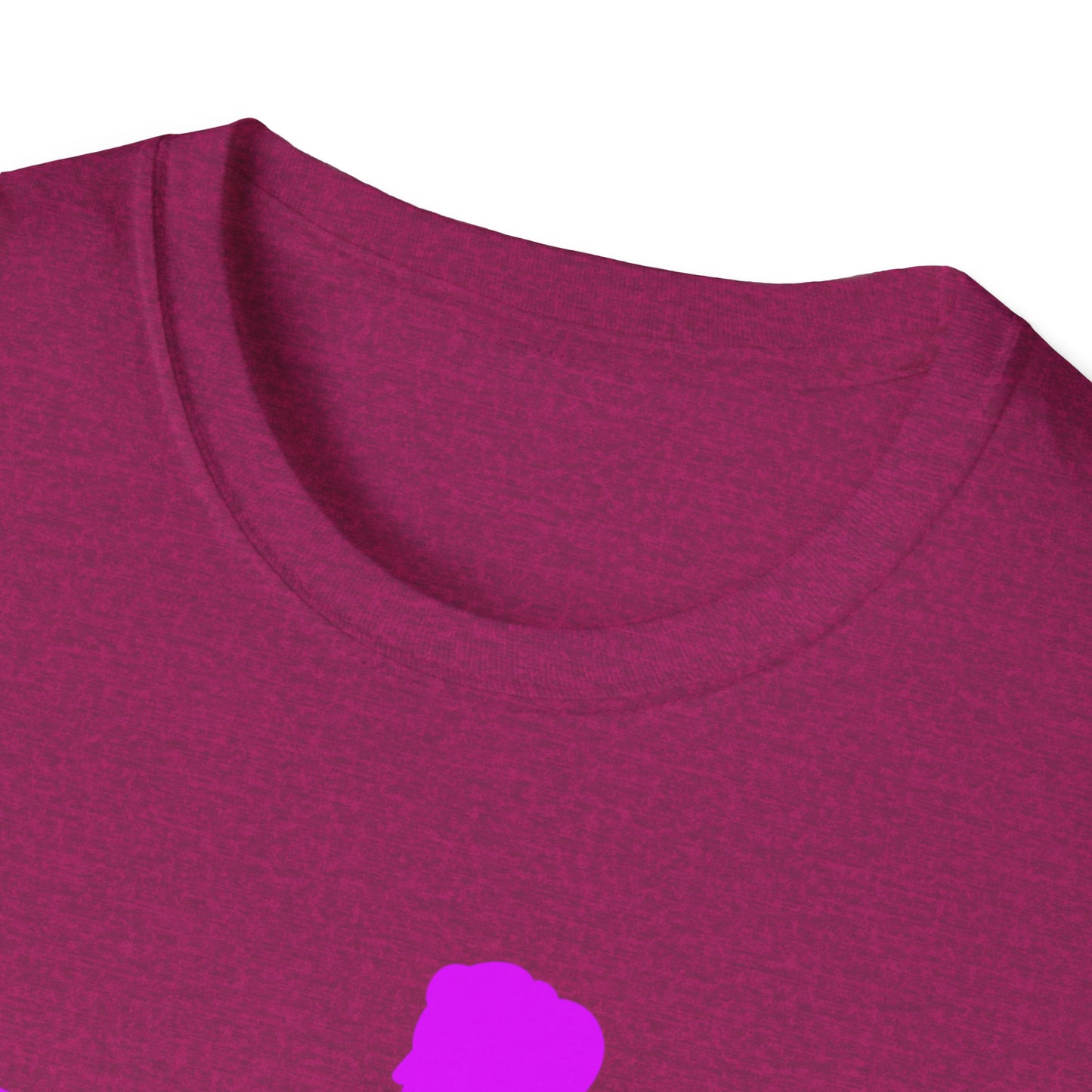 Womans Shirt Plead The 2nd | Colorful Shirt | Cool Shirt | Fashion | Trending | Cool Design | Birthday Gift | Unisex Softstyle T-Shirt