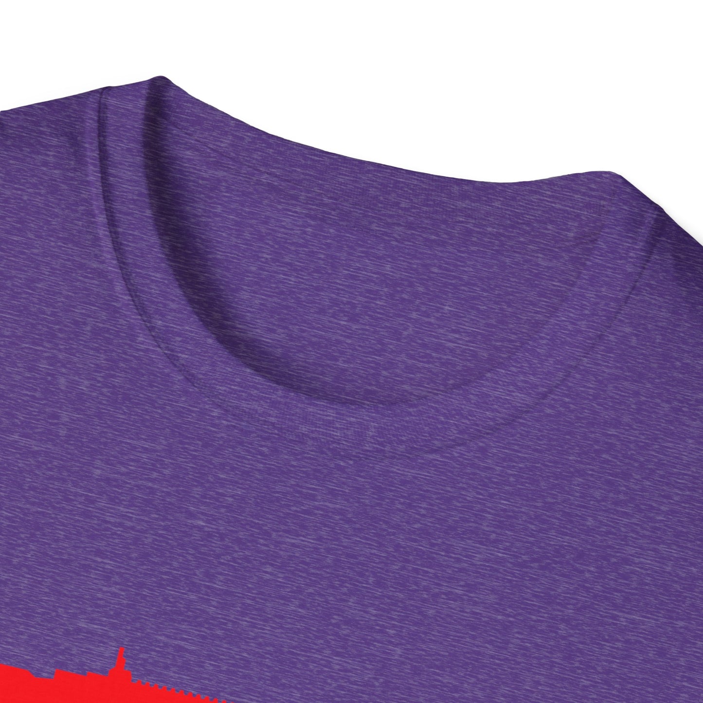 I PLEAD THE 2ND | Colorful Shirt | Cool Shirt | Fashion | Trending | Cool Design | Birthday Gift | Unisex Softstyle T-Shirt