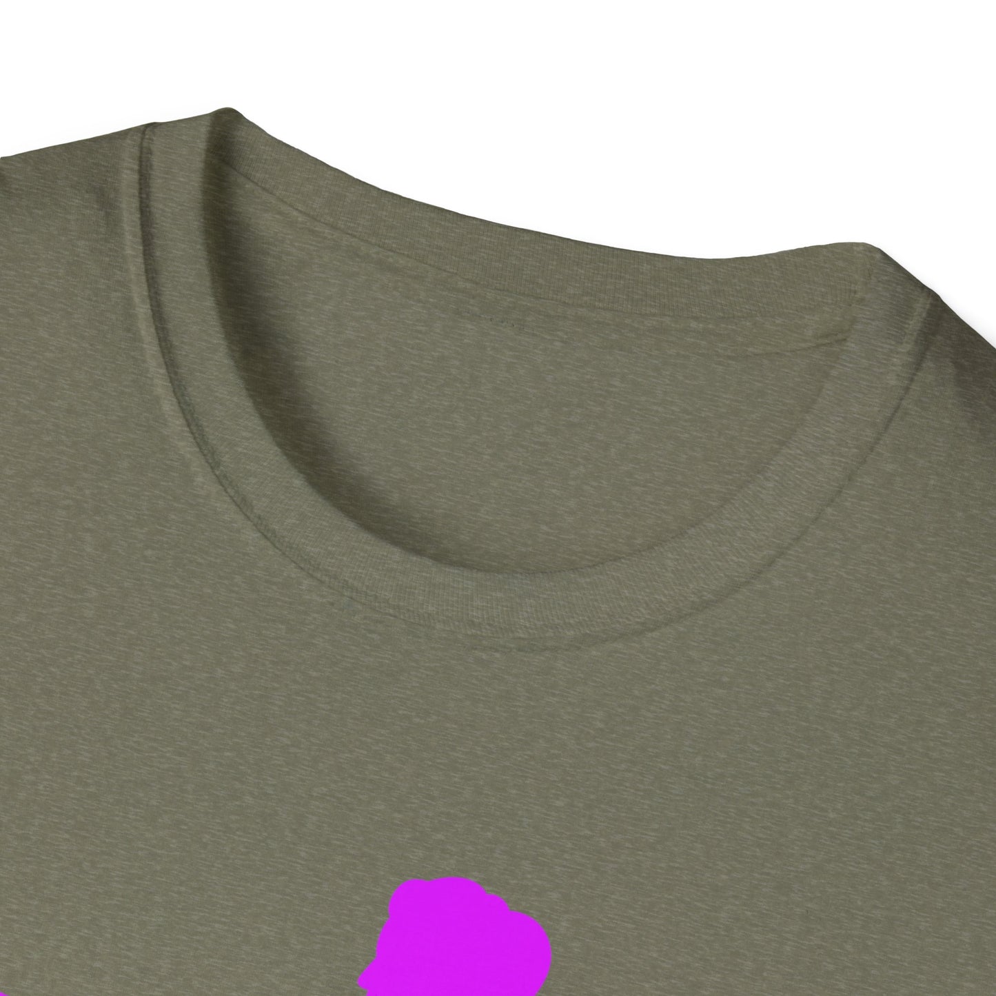 Womans Shirt Plead The 2nd | Colorful Shirt | Cool Shirt | Fashion | Trending | Cool Design | Birthday Gift | Unisex Softstyle T-Shirt
