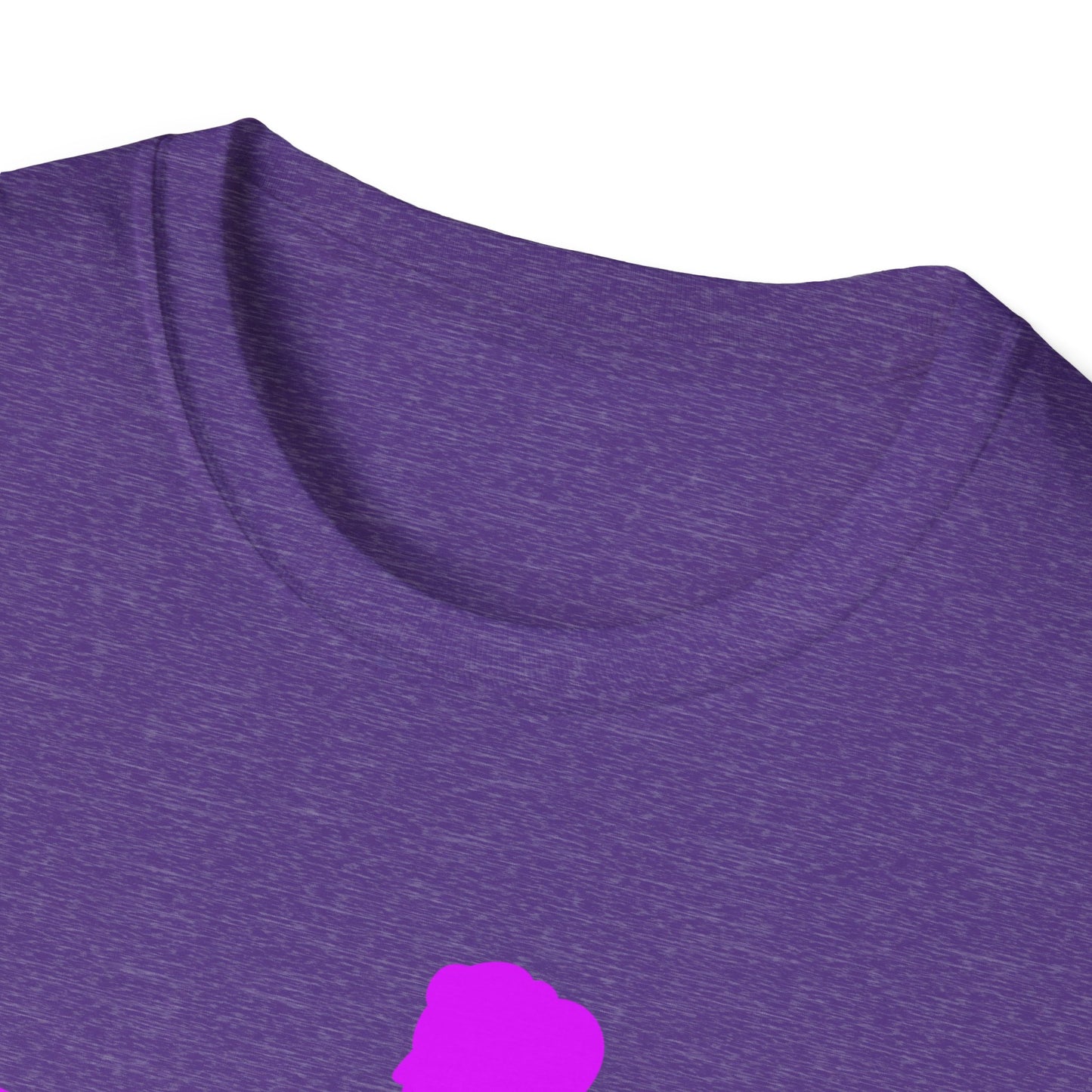 Womans Shirt Plead The 2nd | Colorful Shirt | Cool Shirt | Fashion | Trending | Cool Design | Birthday Gift | Unisex Softstyle T-Shirt