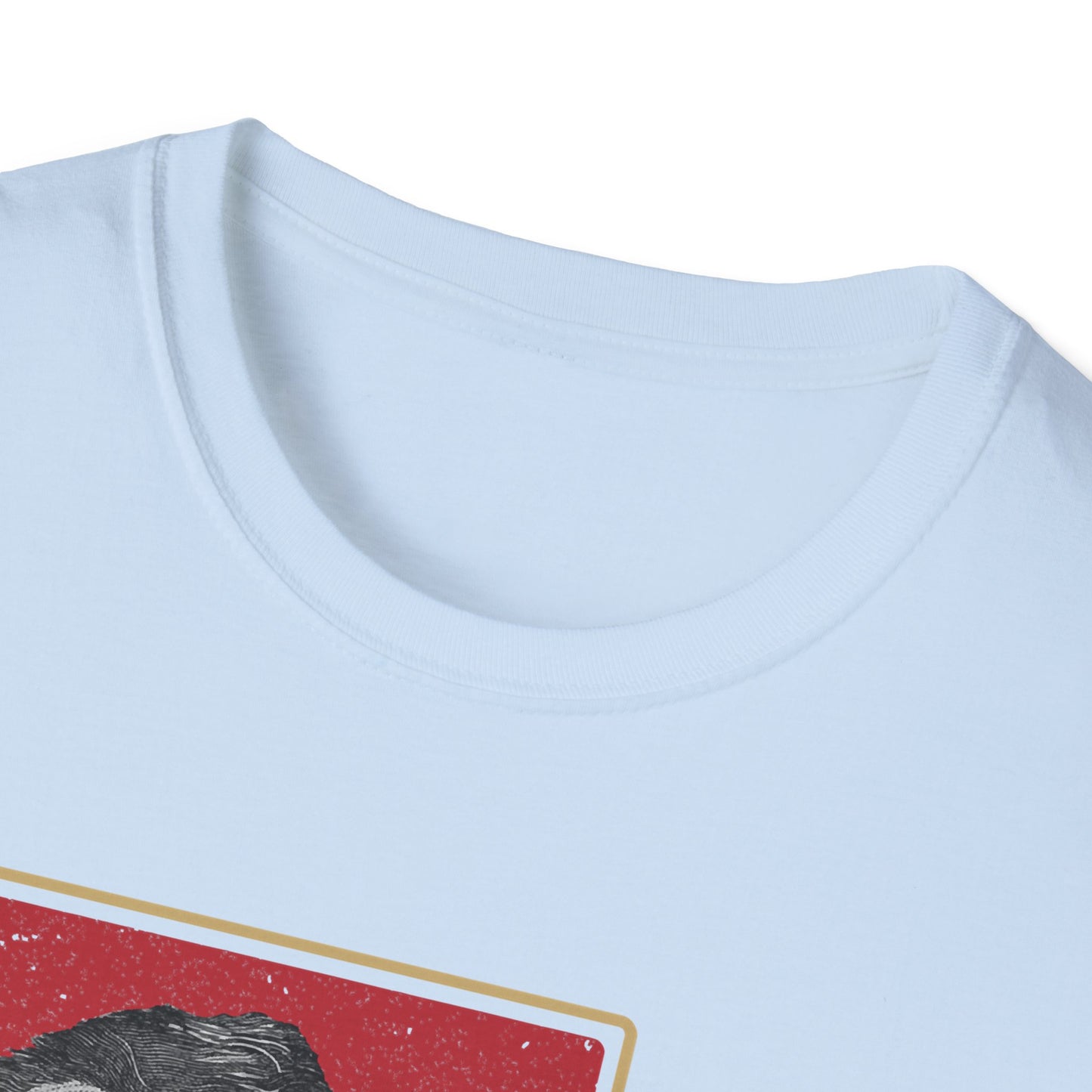 What I Stand For | Abraham Lincoln | Cool Shirt | Fashion | Trending | Cool Design | Birthday Gift | Unisex Softstyle T-Shirt