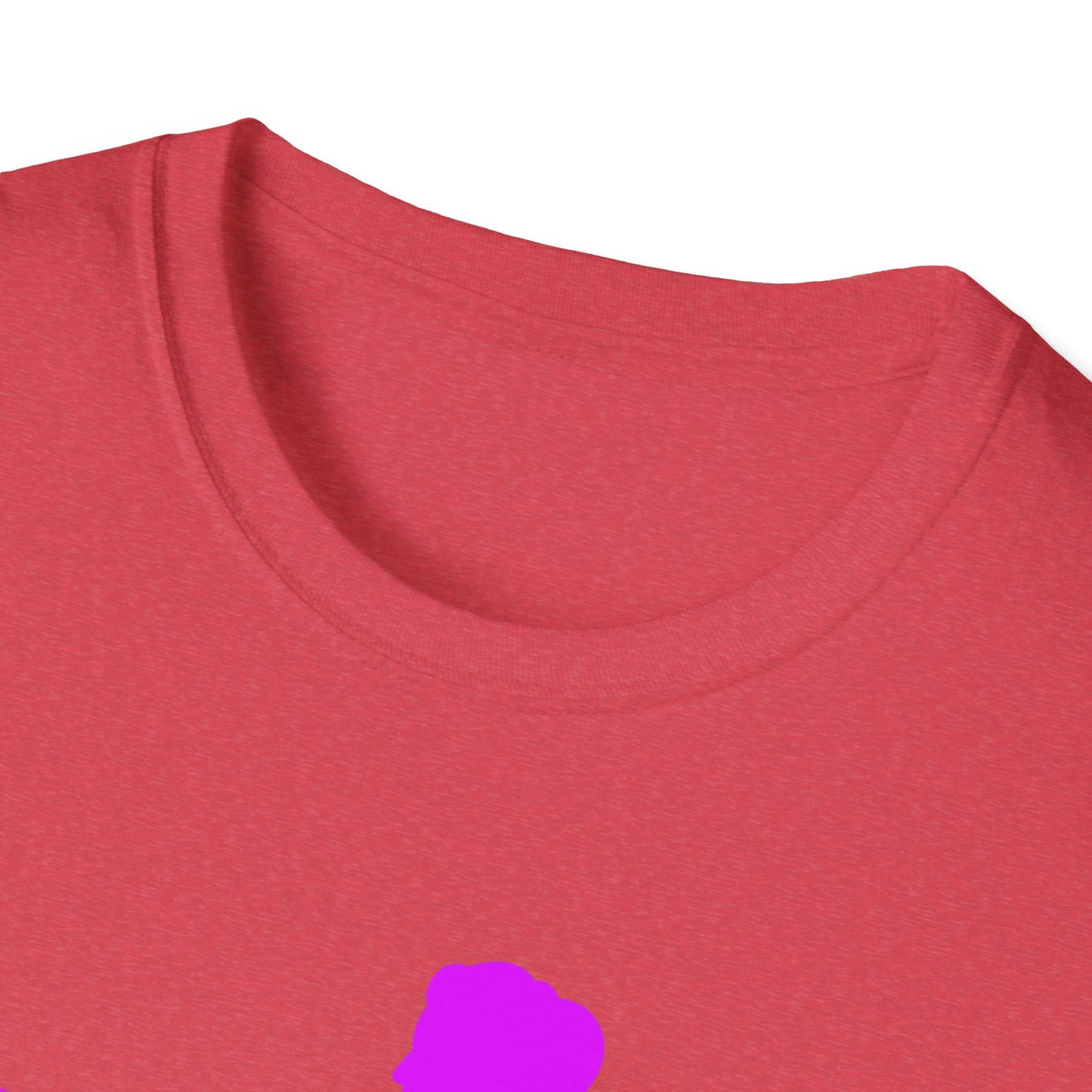 Womans Shirt Plead The 2nd | Colorful Shirt | Cool Shirt | Fashion | Trending | Cool Design | Birthday Gift | Unisex Softstyle T-Shirt
