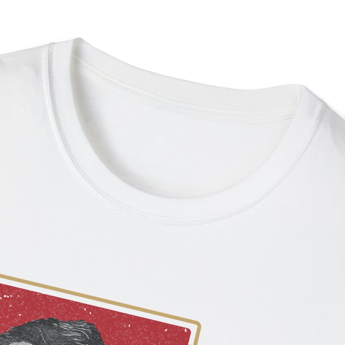 What I Stand For | Abraham Lincoln | Cool Shirt | Fashion | Trending | Cool Design | Birthday Gift | Unisex Softstyle T-Shirt