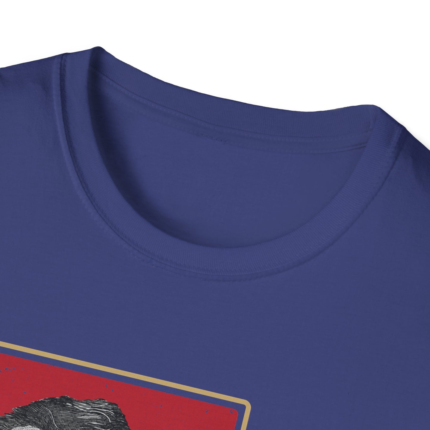 What I Stand For | Abraham Lincoln | Cool Shirt | Fashion | Trending | Cool Design | Birthday Gift | Unisex Softstyle T-Shirt