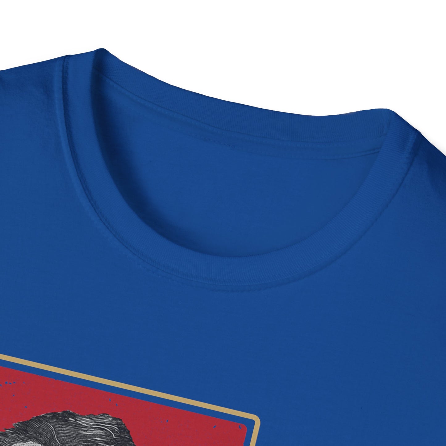 What I Stand For | Abraham Lincoln | Cool Shirt | Fashion | Trending | Cool Design | Birthday Gift | Unisex Softstyle T-Shirt