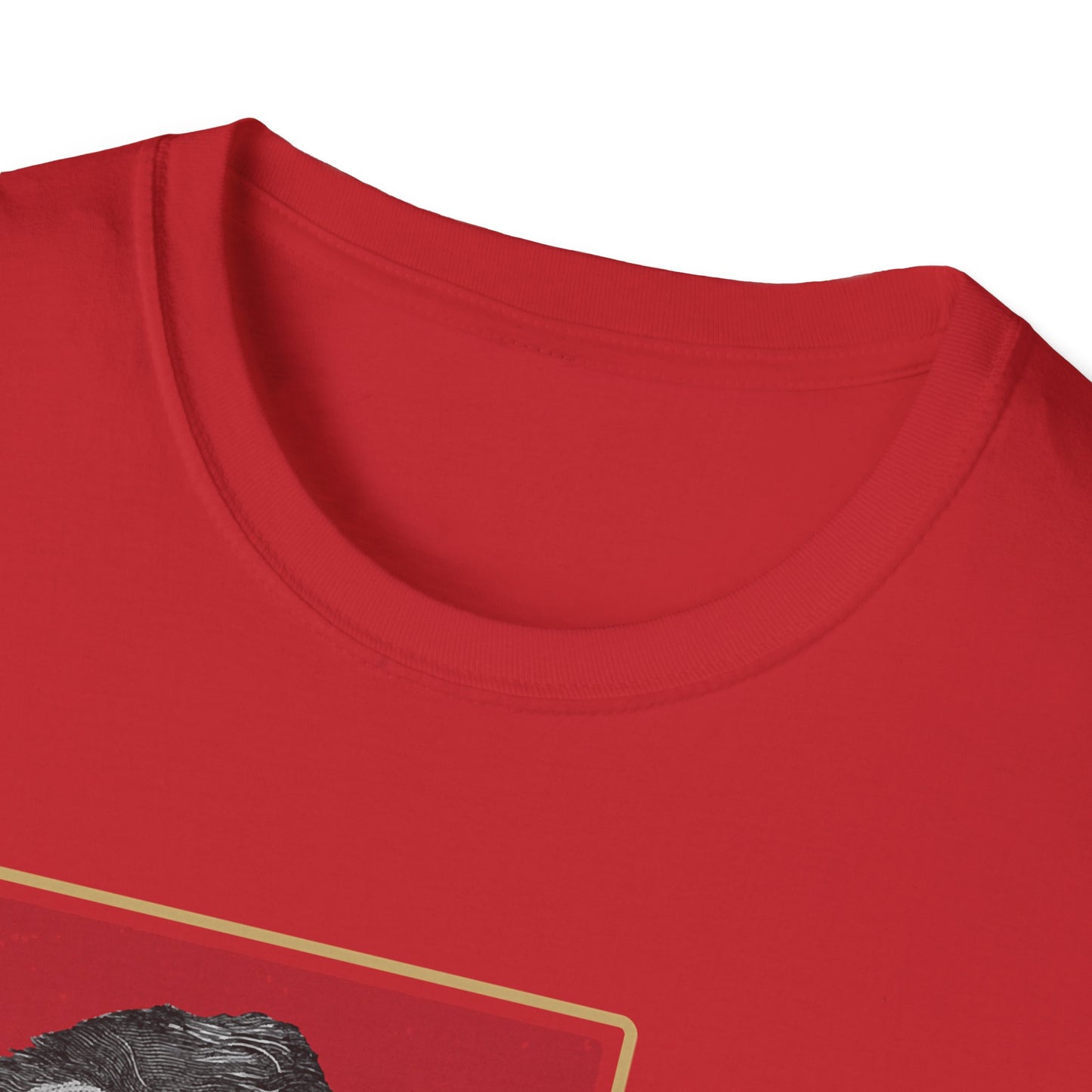 What I Stand For | Abraham Lincoln | Cool Shirt | Fashion | Trending | Cool Design | Birthday Gift | Unisex Softstyle T-Shirt