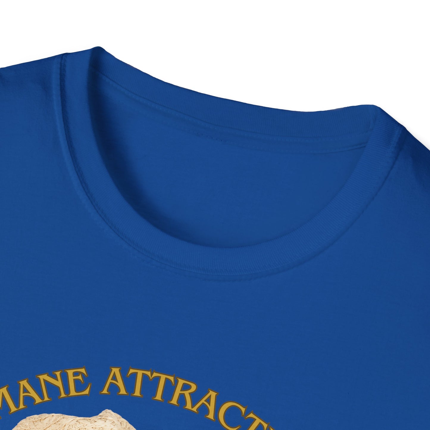 Mane Attraction | Funny Horse Shirt | Teen Clothes | Adult Shirt | Kids Clothes | Trending | Birthday Gift | Unisex Softstyle T-Shirt