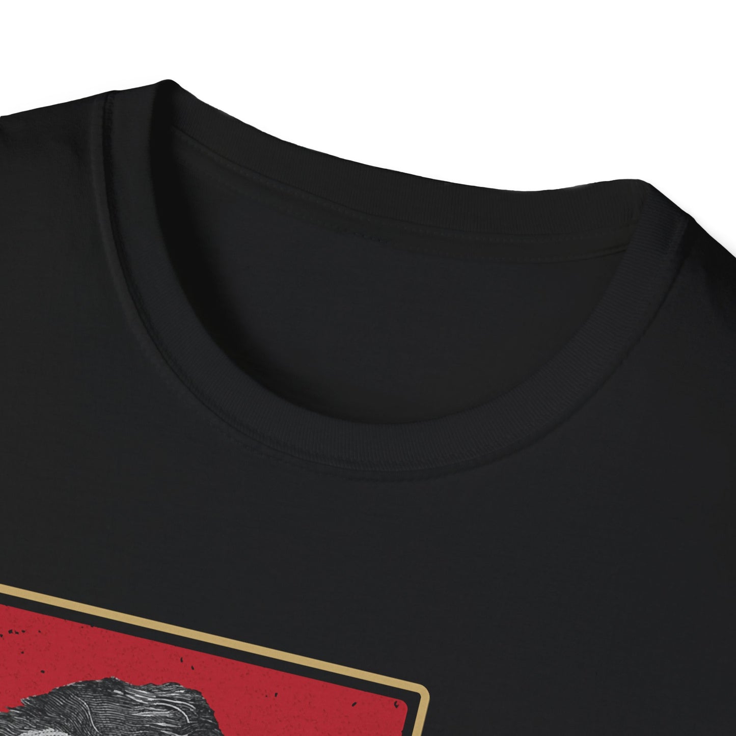 What I Stand For | Abraham Lincoln | Cool Shirt | Fashion | Trending | Cool Design | Birthday Gift | Unisex Softstyle T-Shirt