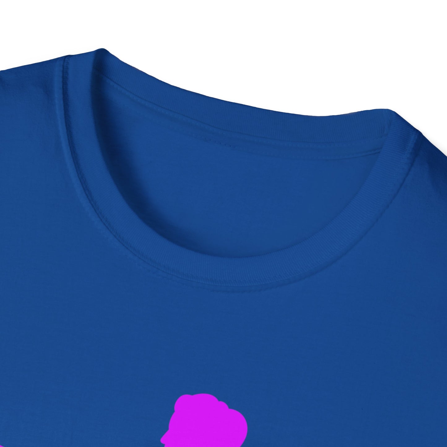 Womans Shirt Plead The 2nd | Colorful Shirt | Cool Shirt | Fashion | Trending | Cool Design | Birthday Gift | Unisex Softstyle T-Shirt