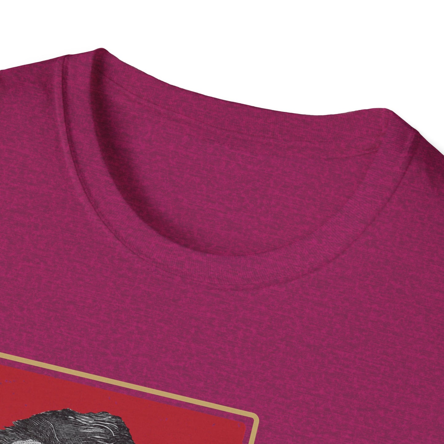 What I Stand For | Abraham Lincoln | Cool Shirt | Fashion | Trending | Cool Design | Birthday Gift | Unisex Softstyle T-Shirt