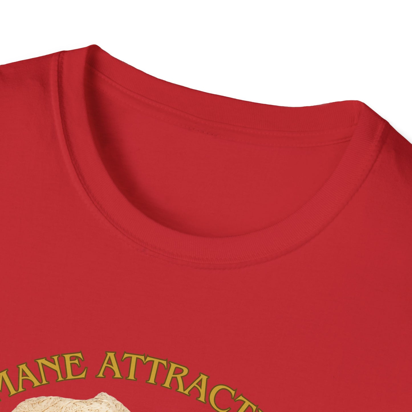 Mane Attraction | Funny Horse Shirt | Teen Clothes | Adult Shirt | Kids Clothes | Trending | Birthday Gift | Unisex Softstyle T-Shirt