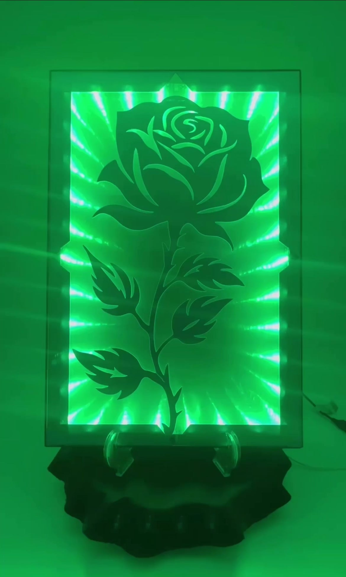 Eternal Rose Vibrant | LED Infinity Mirror Wall Art Home Décor